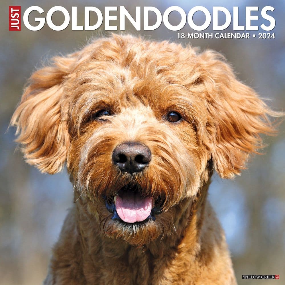 Dog 2022 Page A Day Gallery Calendar Dog 2022 Page A Day Gallery Calendar