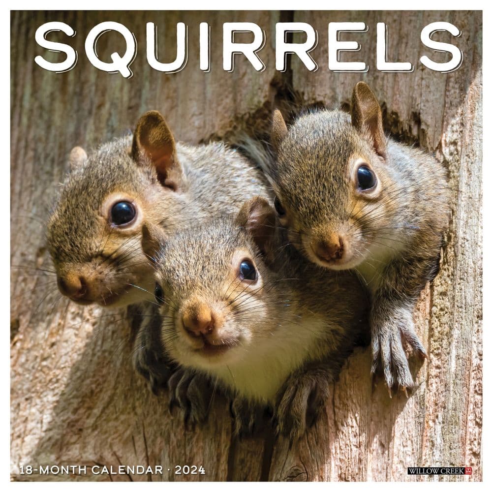 Squirrels 2024 Wall Calendar