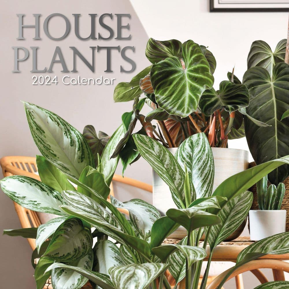 House Plants 2024 Wall Calendar