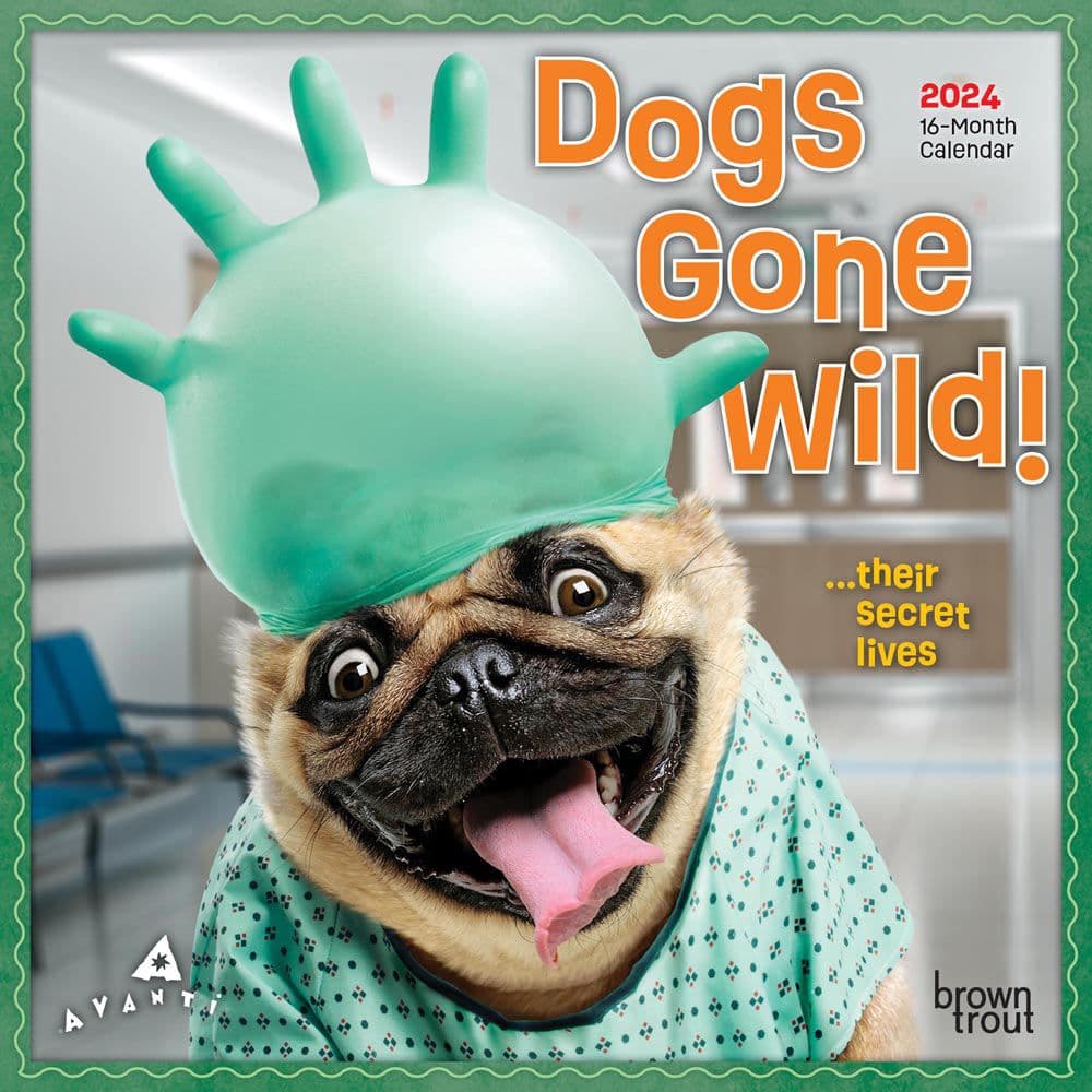 Avanti Dogs Gone Wild 2024 Mini Wall Calendar   2602 