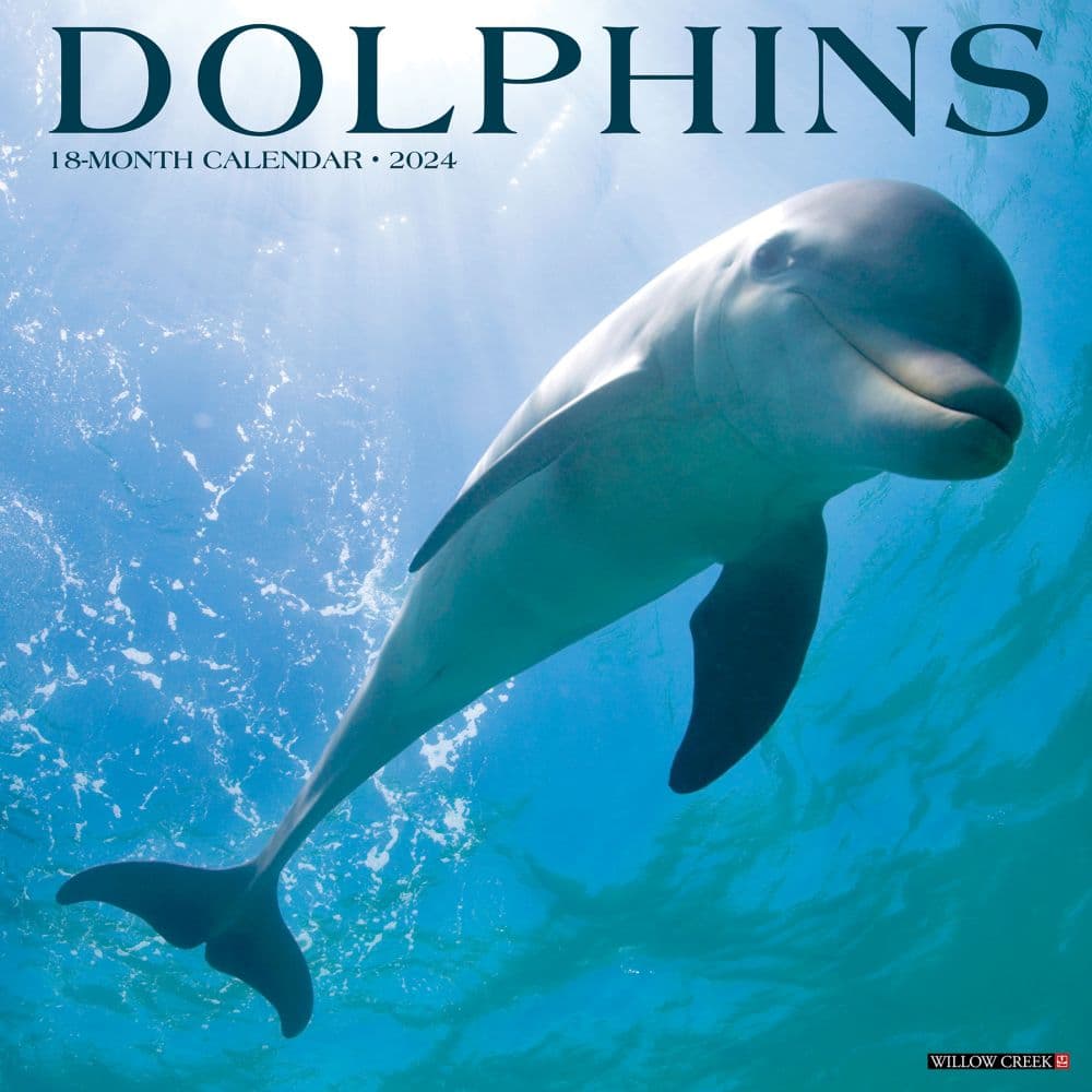 Dolphins 2024 Wall Calendar   3349 