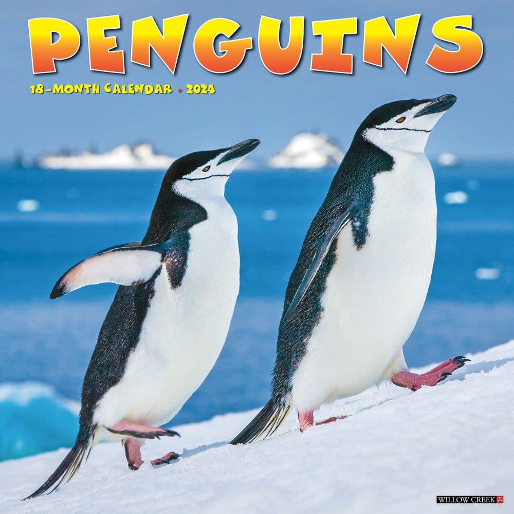 Penguins 2024 Wall Calendar   3701 