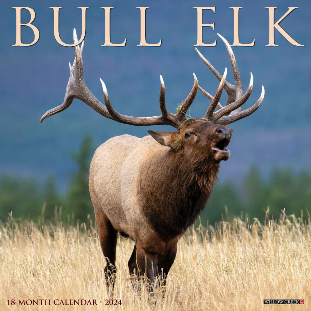 Bull Elk 2024 Wall Calendar   3710 