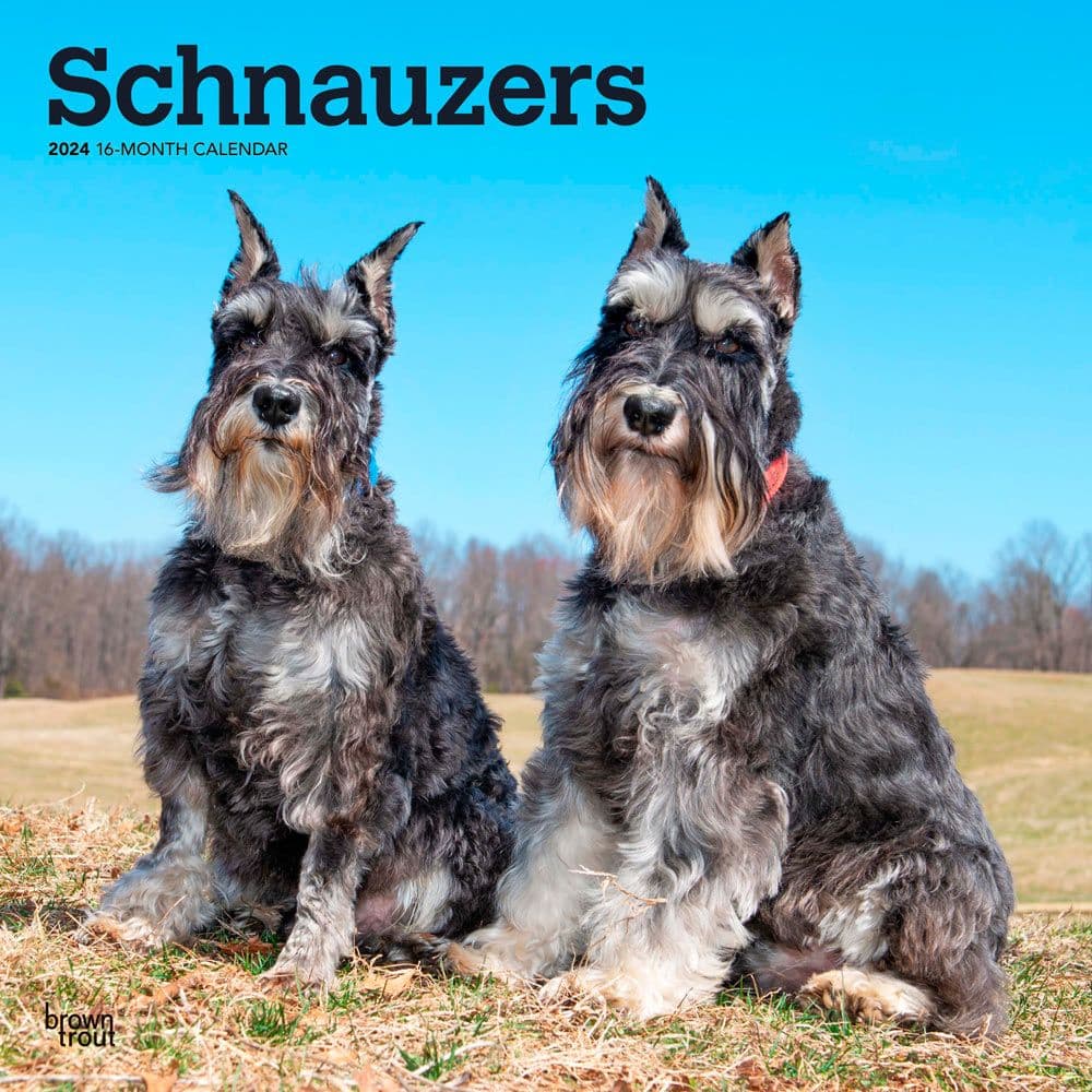 Schnauzers 2024 Wall Calendar