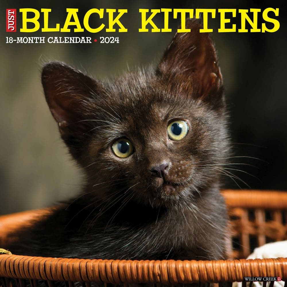 Just Black Kittens 2024 Wall Calendar