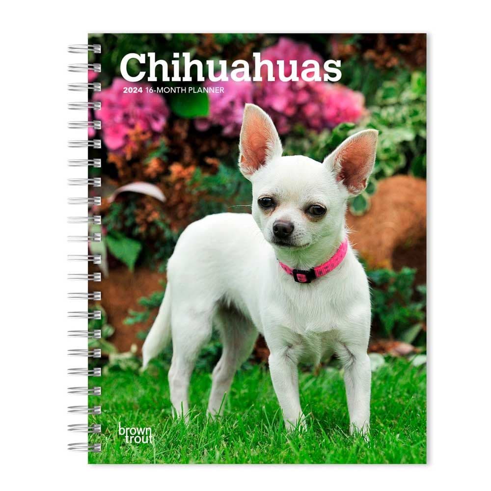 Chihuahuas 2024 Engagement Planner