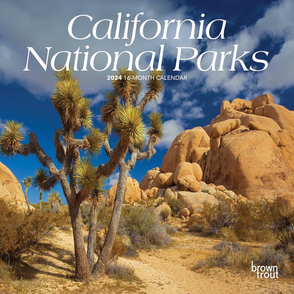 California National Parks 2024 Mini Wall Calendar
