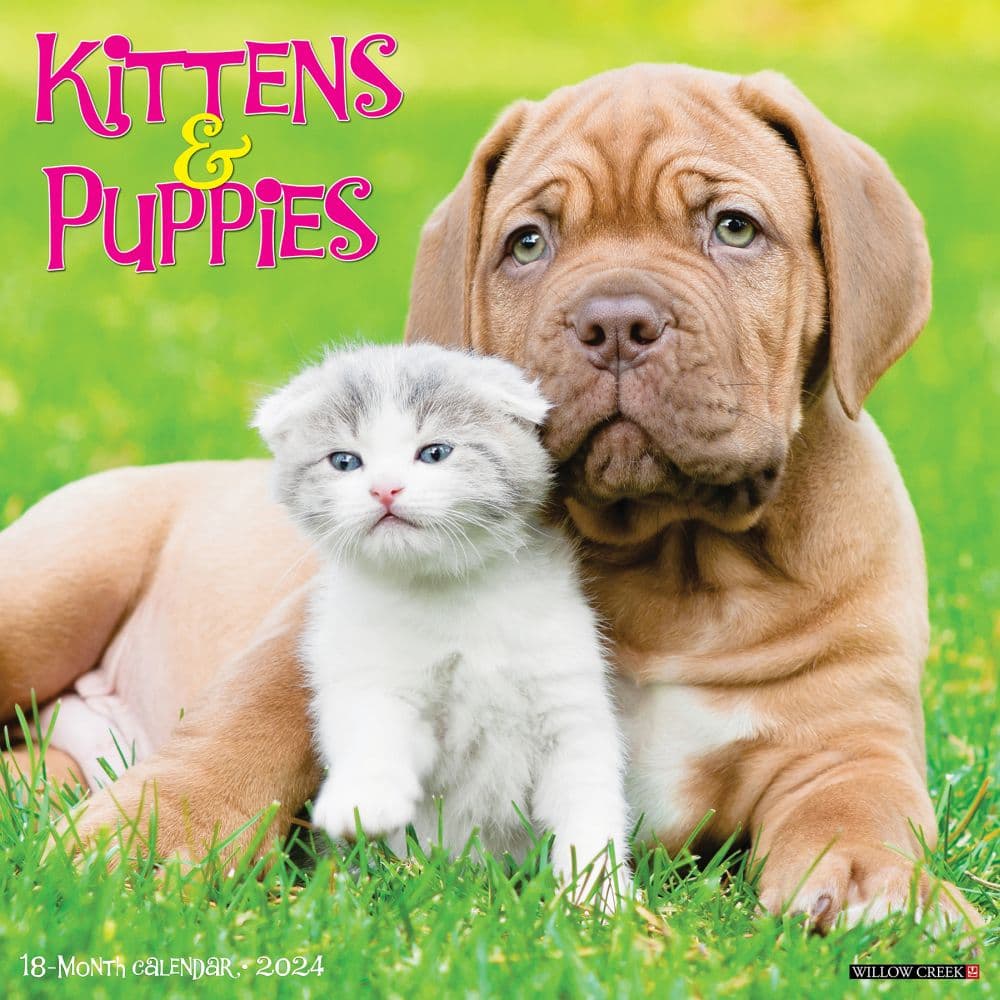 Kittens & Puppies 2024 Wall Calendar
