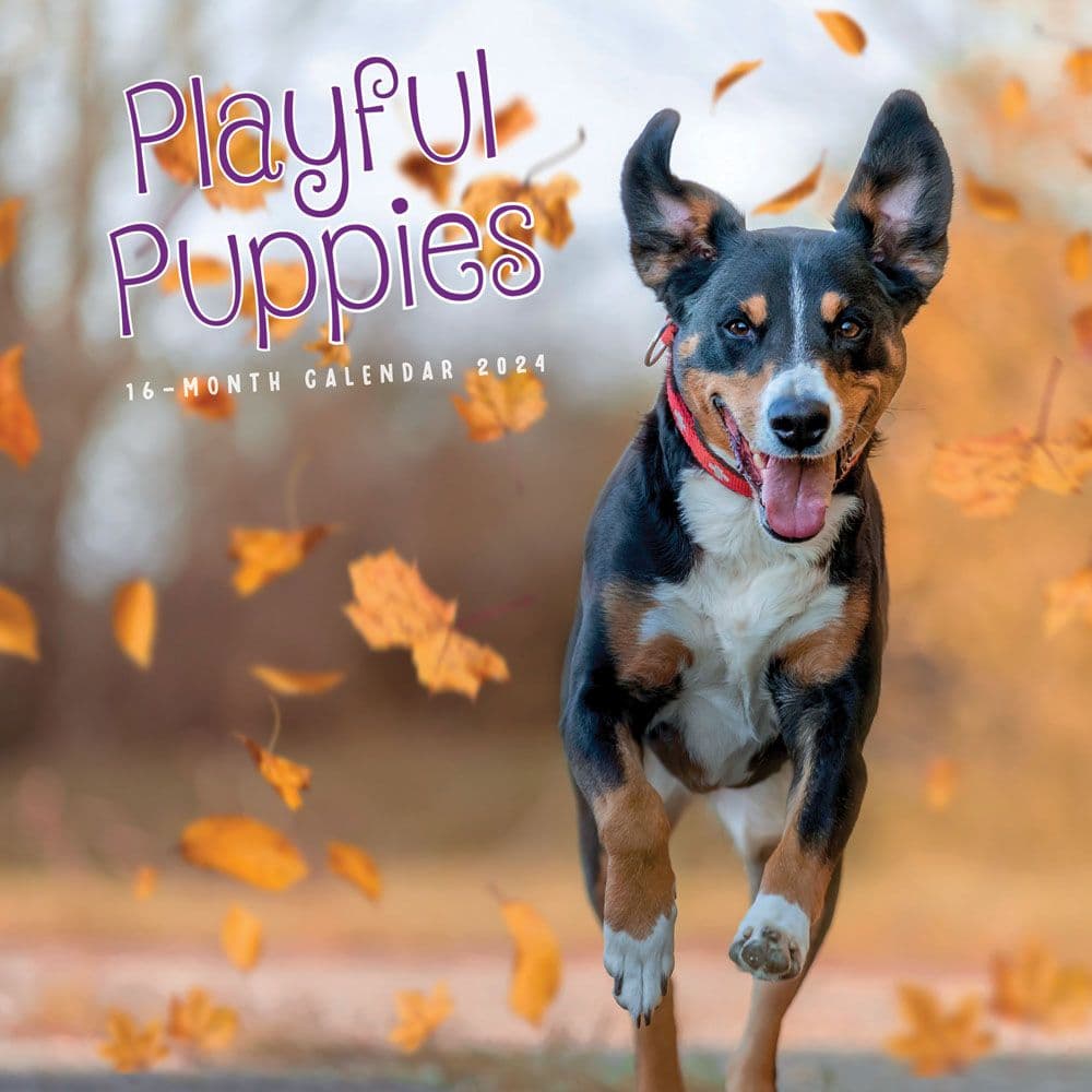 Playful Puppies 2024 Wall Calendar