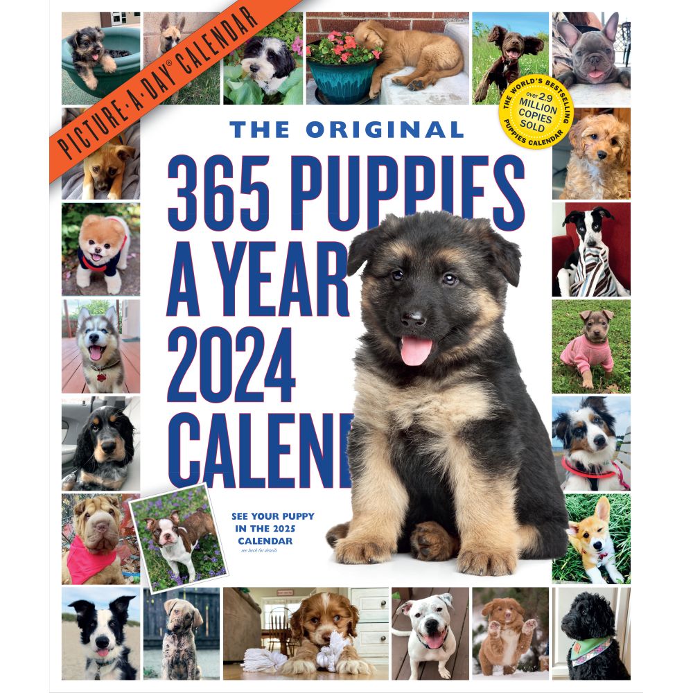 Puppies 365 Days 2024 Wall Calendar