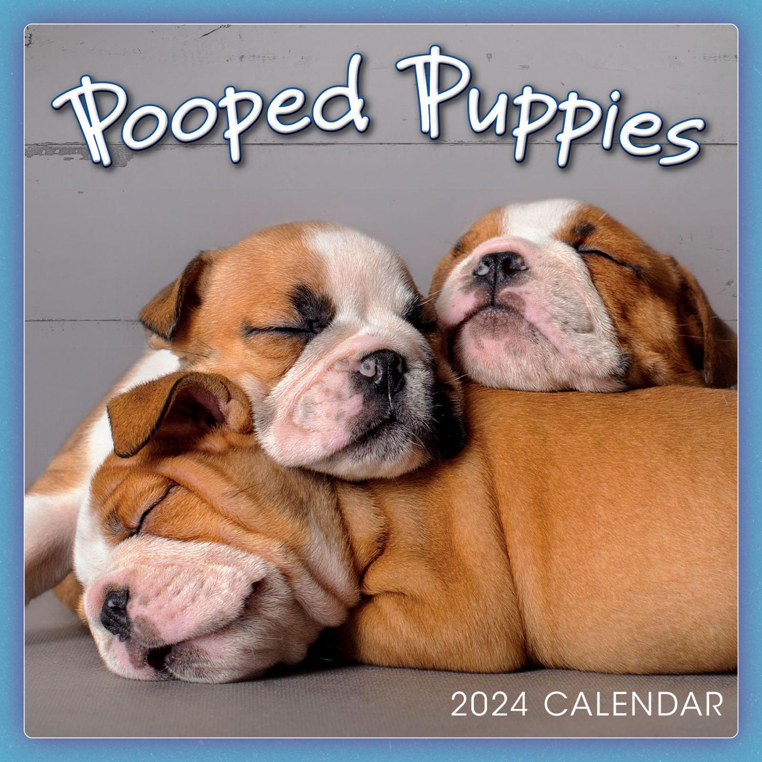Pooped Puppies 2024 Mini Wall Calendar