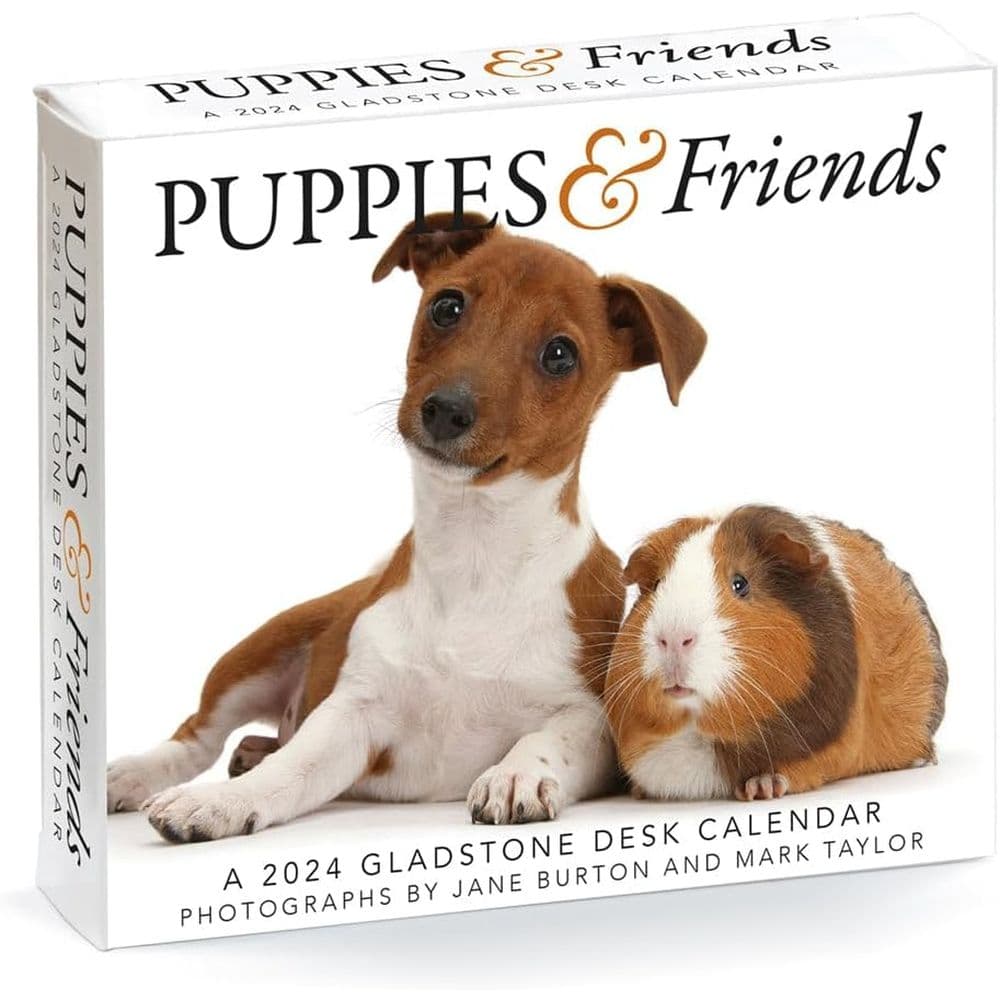 Puppies and Friends 2024 Desk Calendar