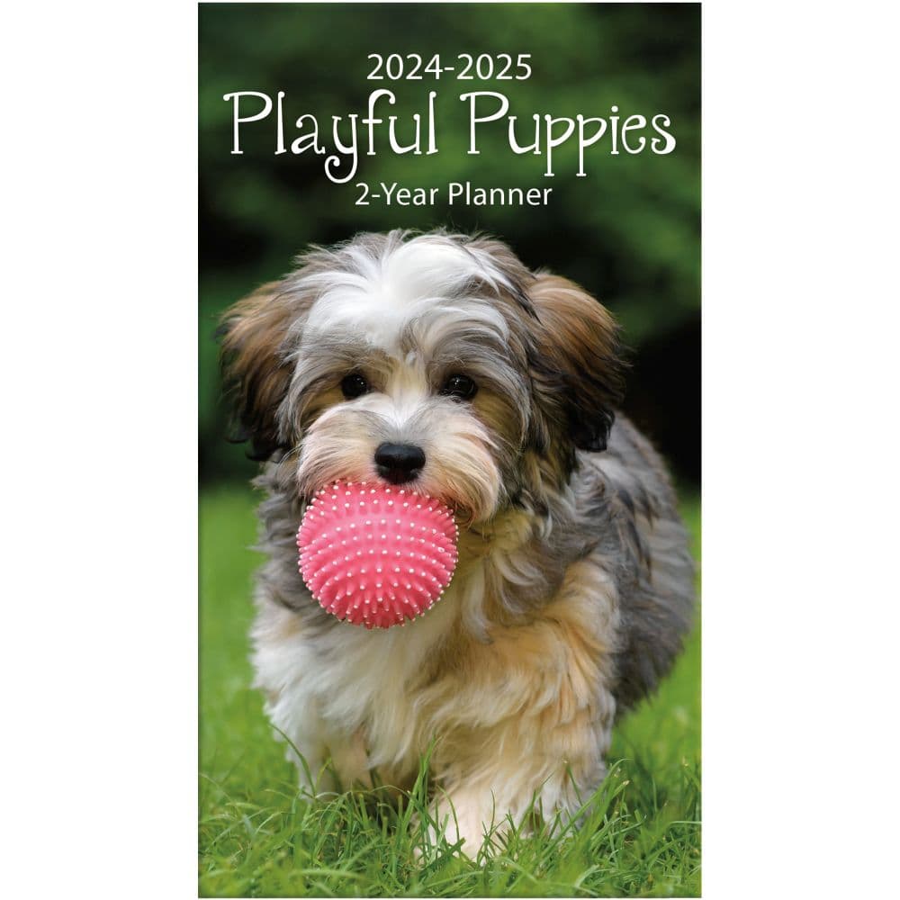 Playful Puppies 2 Year 2024 Pocket Planner