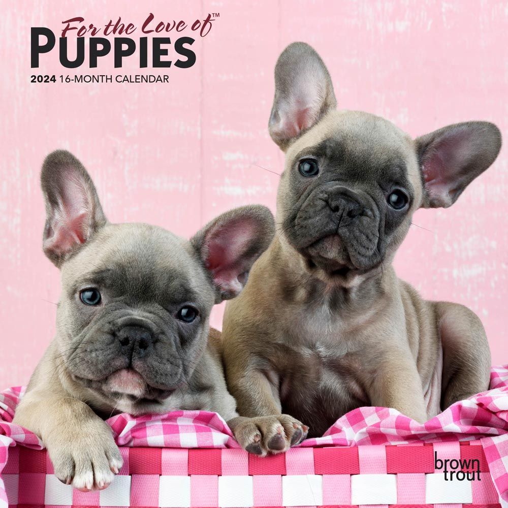 For the Love of Puppies 2024 Mini Wall Calendar