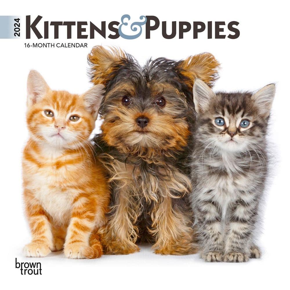 Kittens & Puppies 2024 Mini Wall Calendar