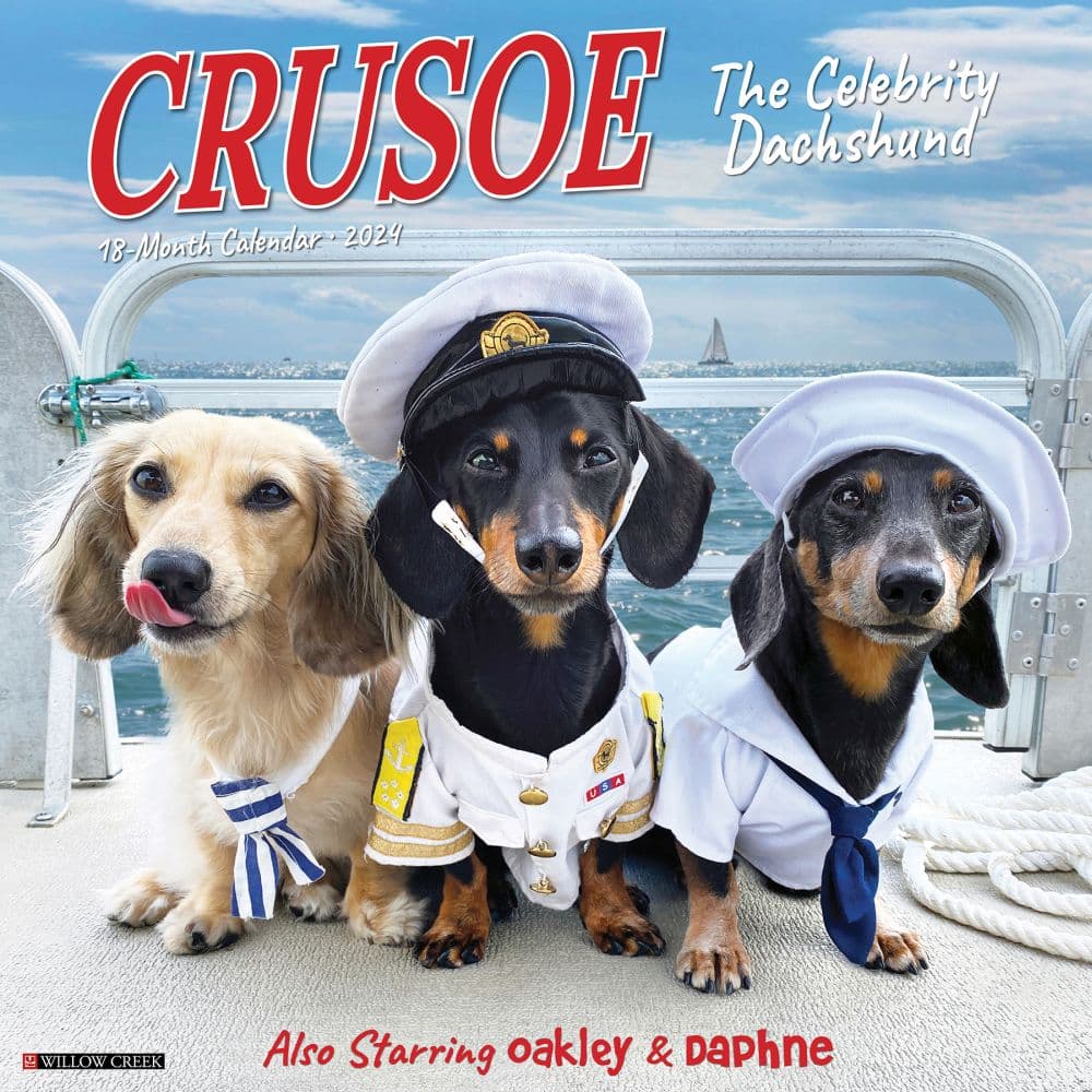 Crusoe the Celebrity Dachshund 2024 Wall Calendar