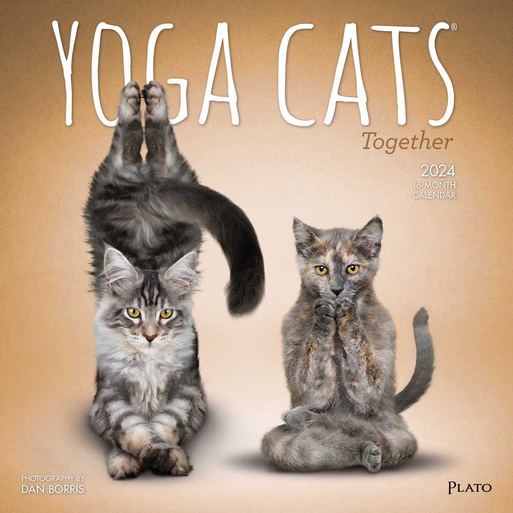 Yoga Cats Together 2024 Wall Calendar