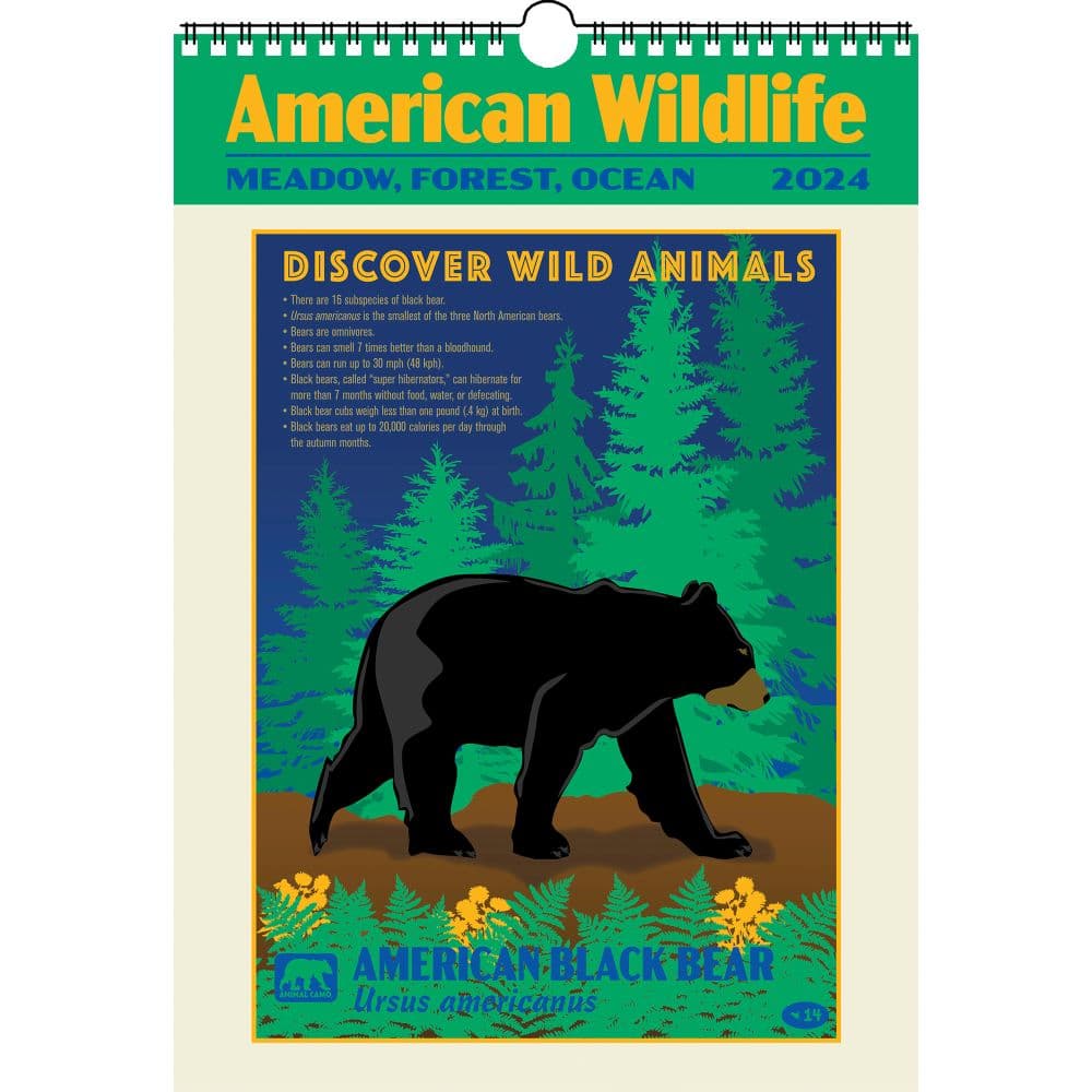 American Wildlife Poster 2024 Wall Calendar