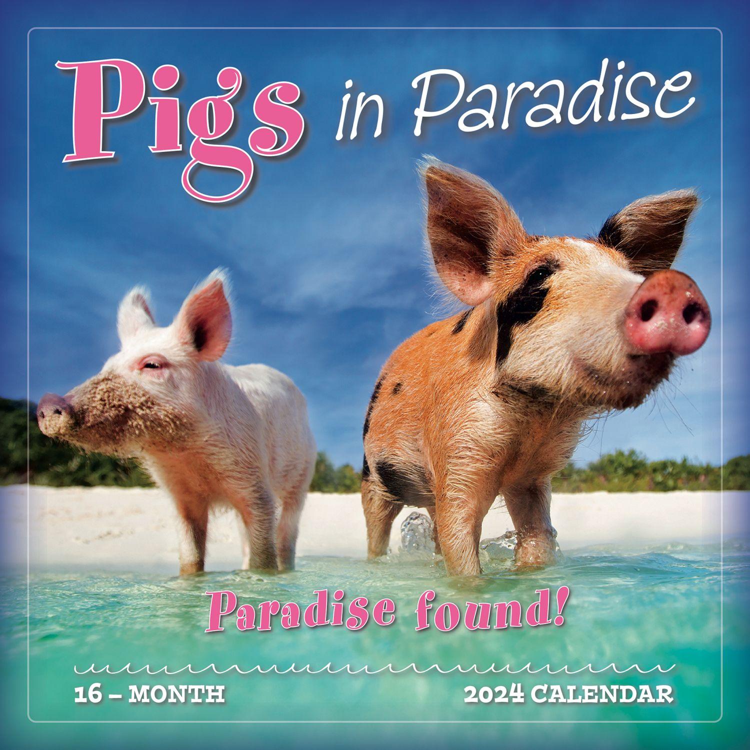 Pigs in Paradise 2024 Wall Calendar