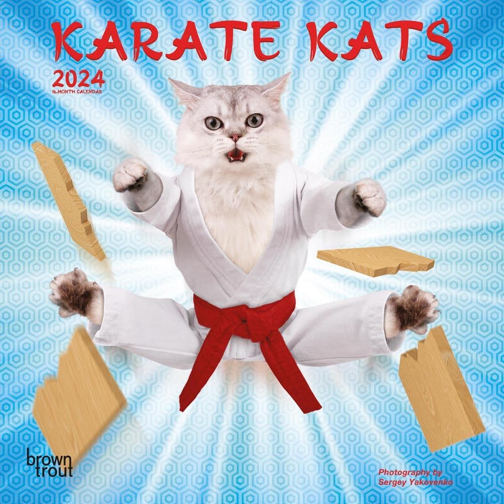 Karate Cats 2024 Mini Wall Calendar