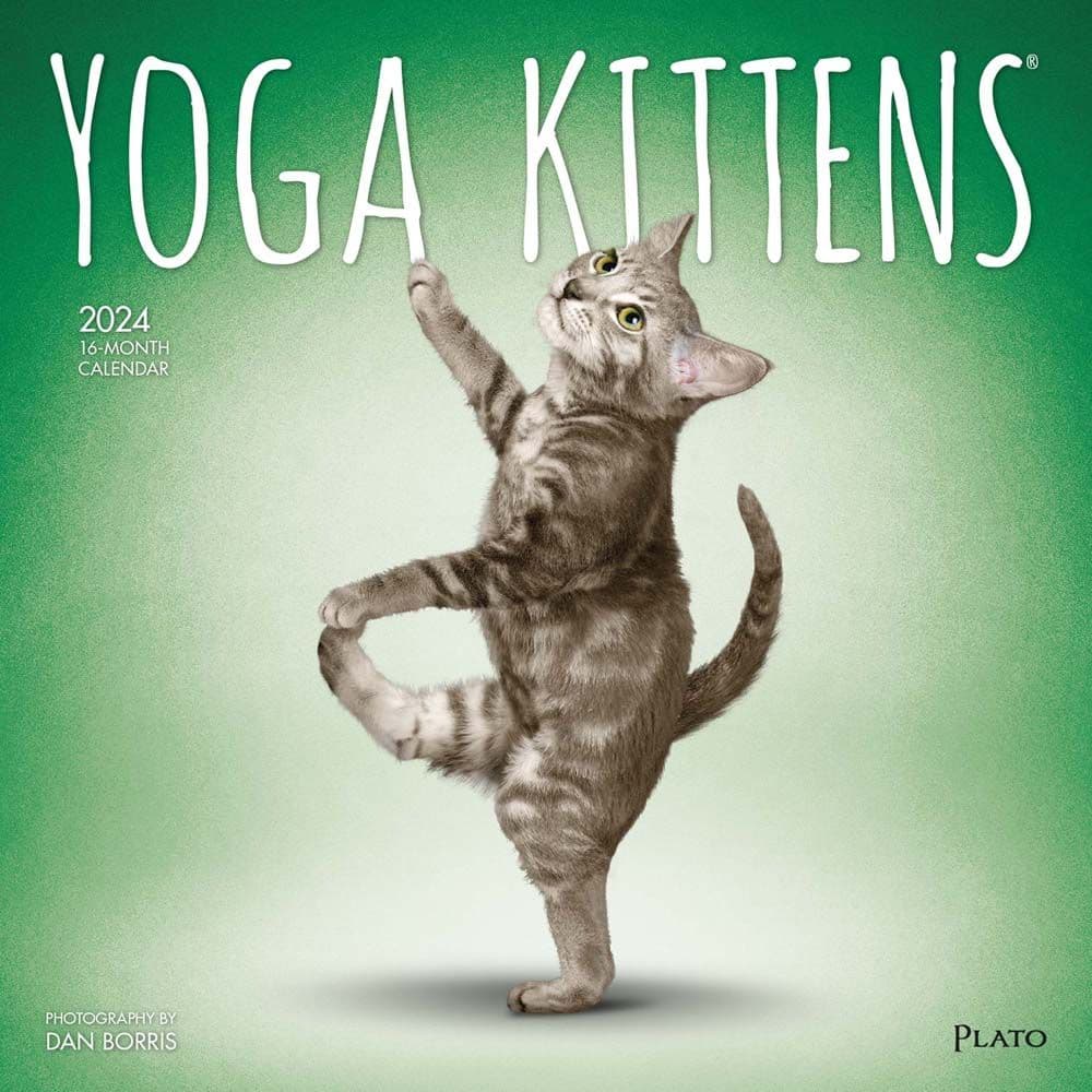 Yoga Kittens 2024 Wall Calendar