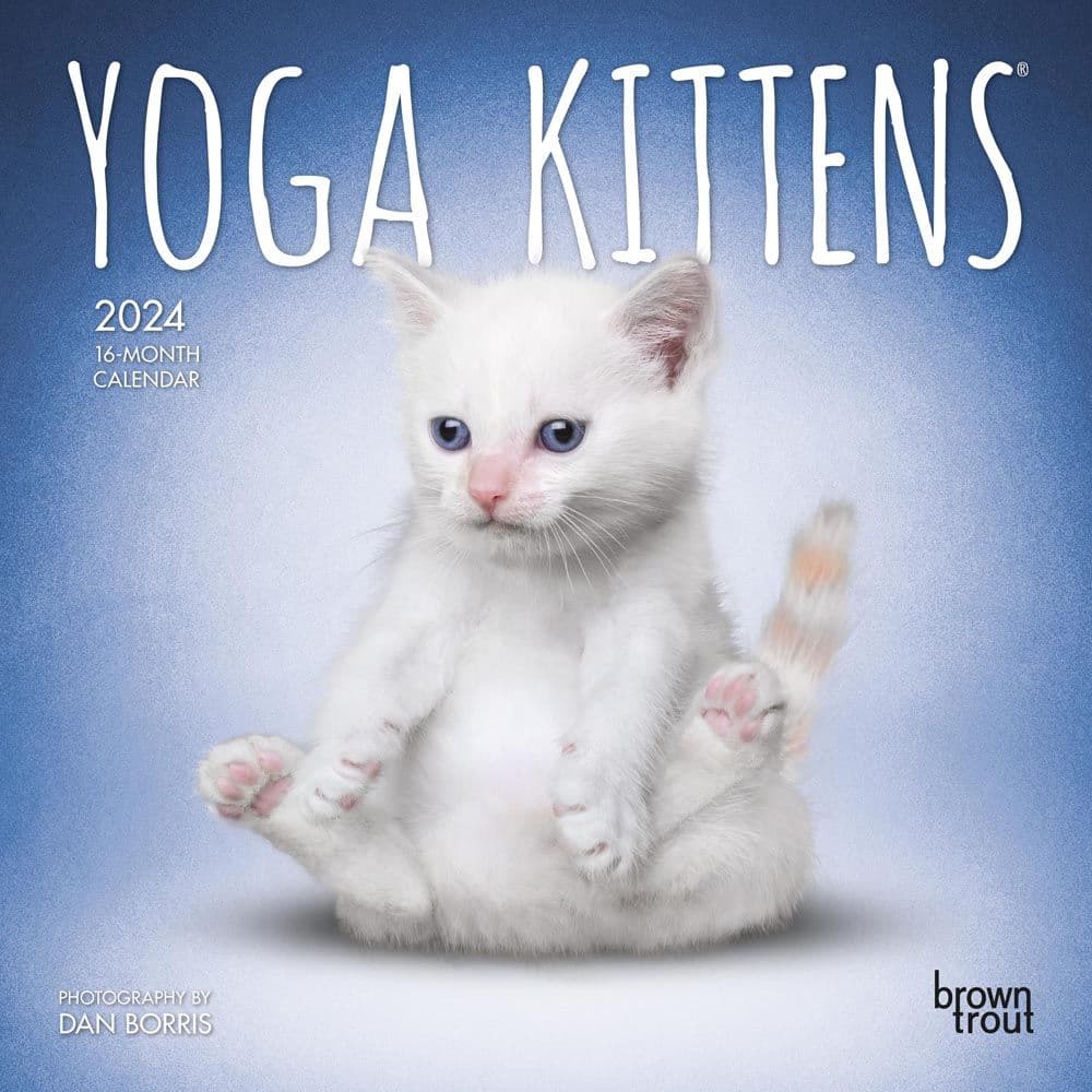 Yoga Kittens 2024 Mini Wall Calendar