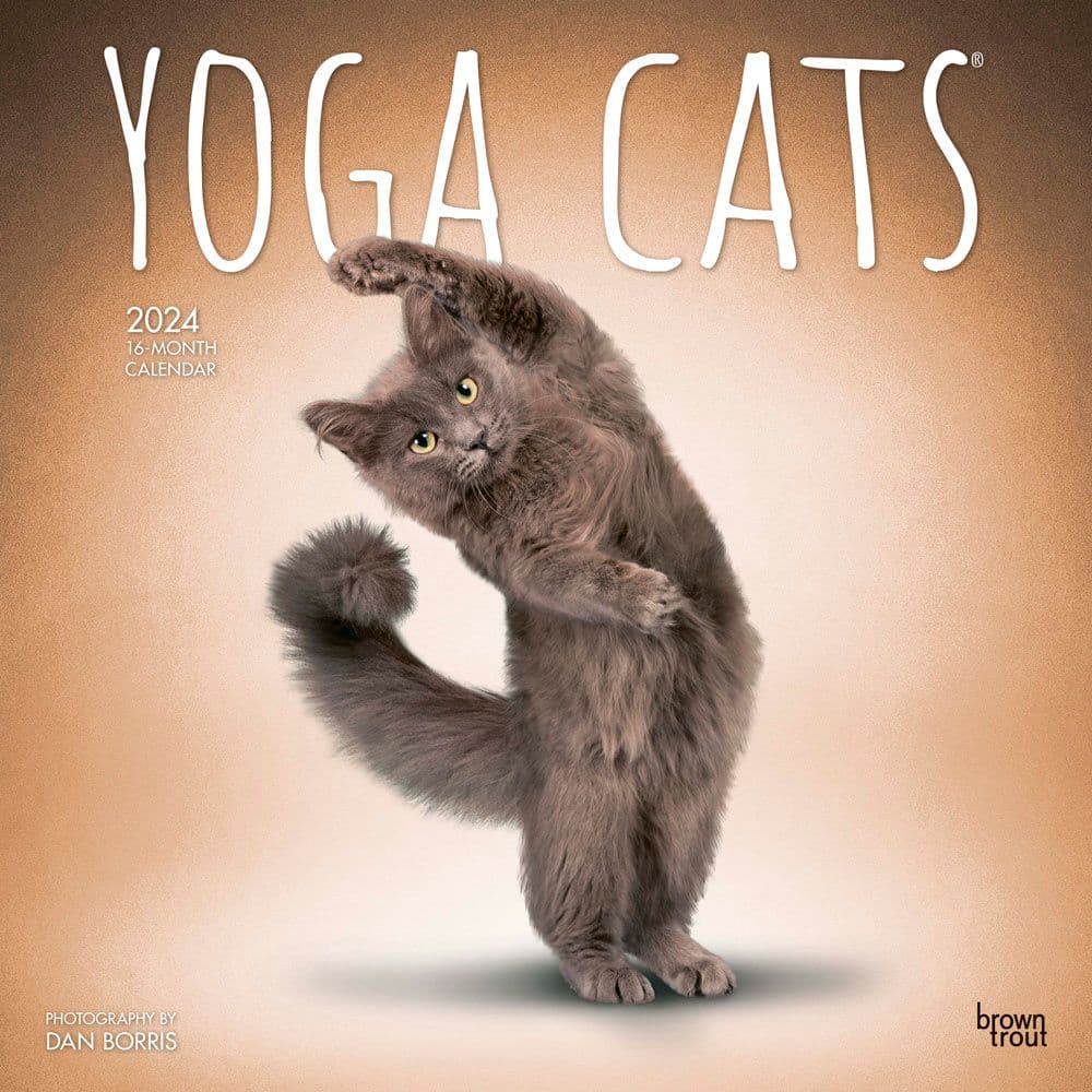 Yoga Cats 2024 Wall Calendar
