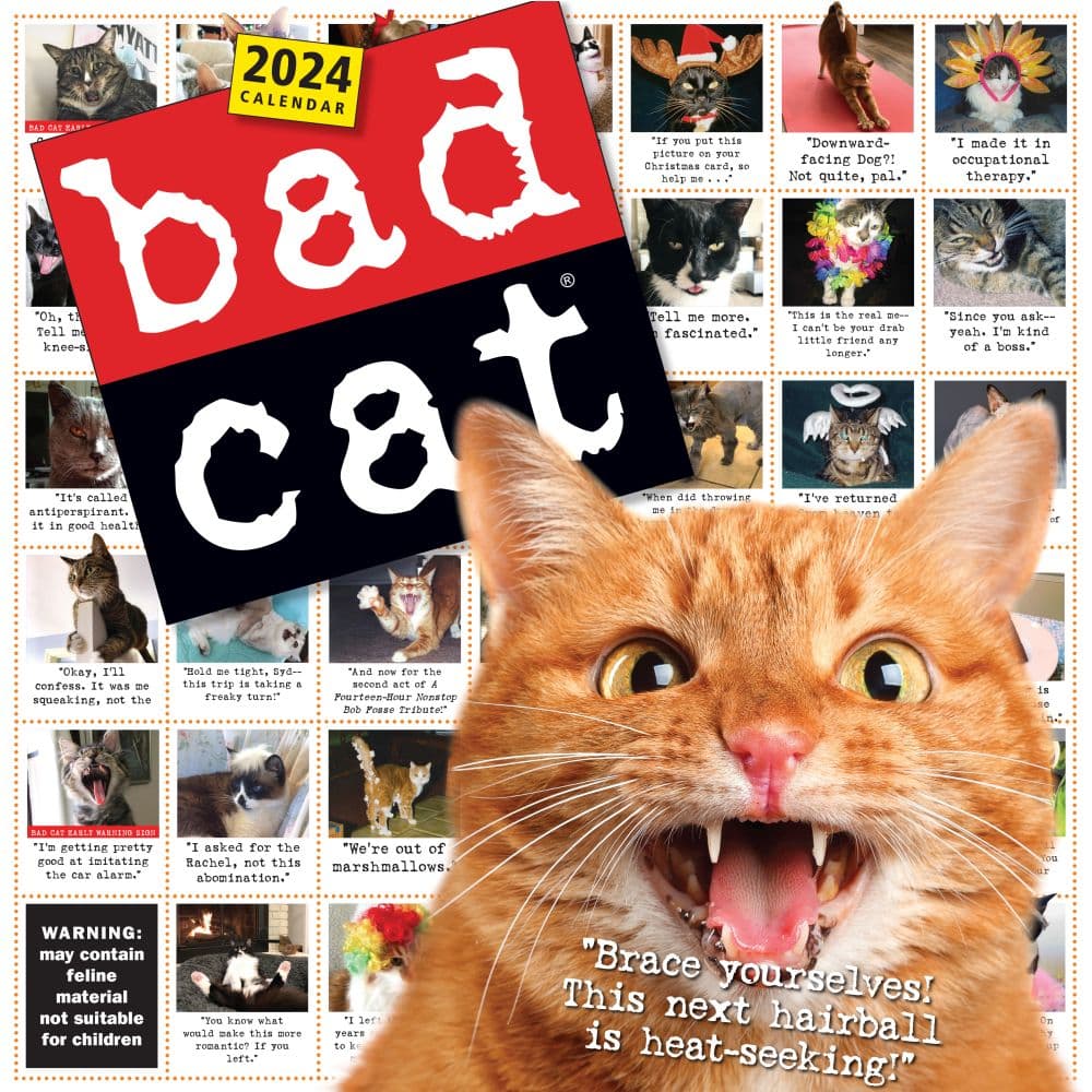 Bad Cat 365 Days 2024 Wall Calendar