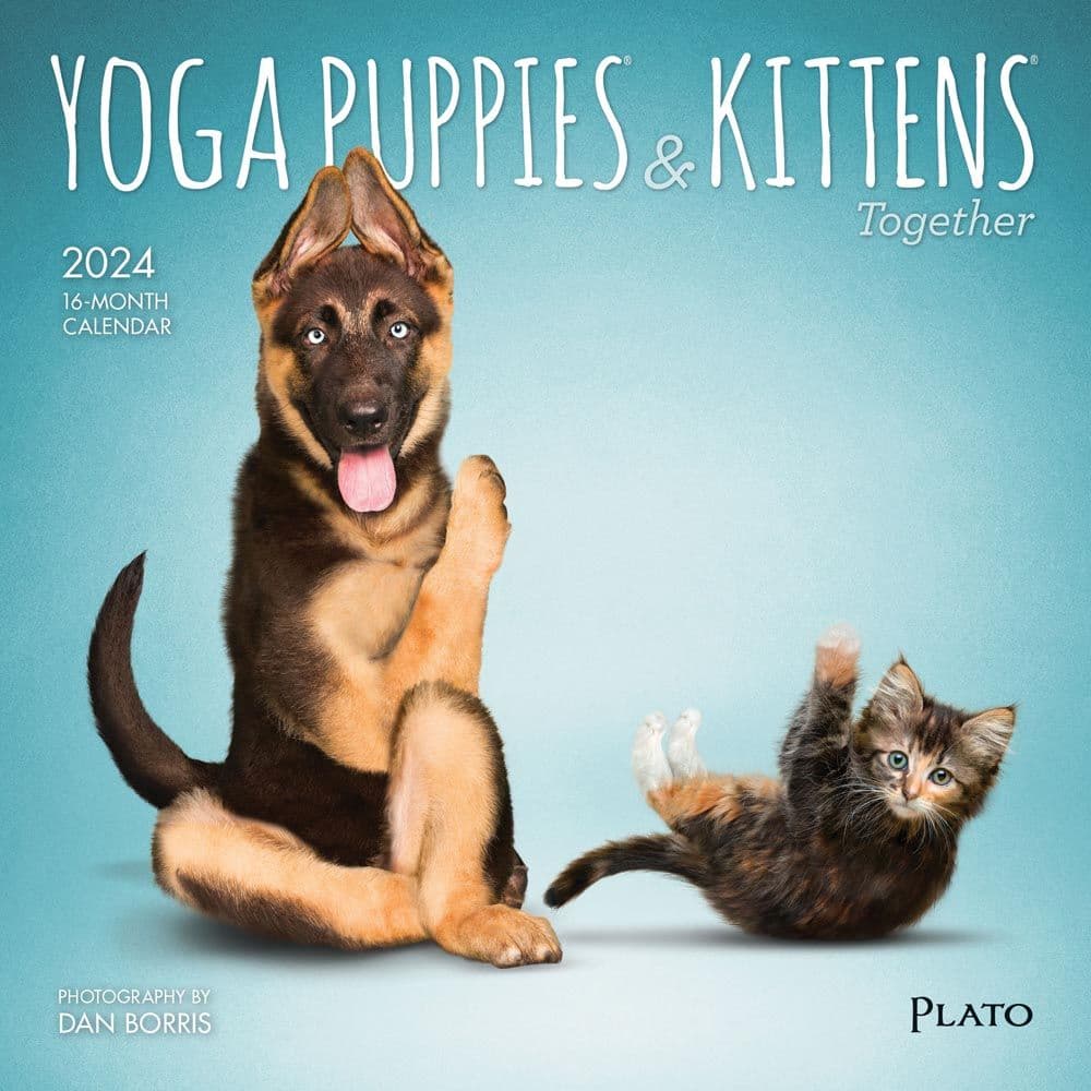 Yoga Puppies & Kittens 2024 Mini Wall Calendar