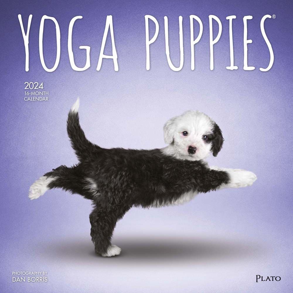 Yoga Puppies 2024 Wall Calendar