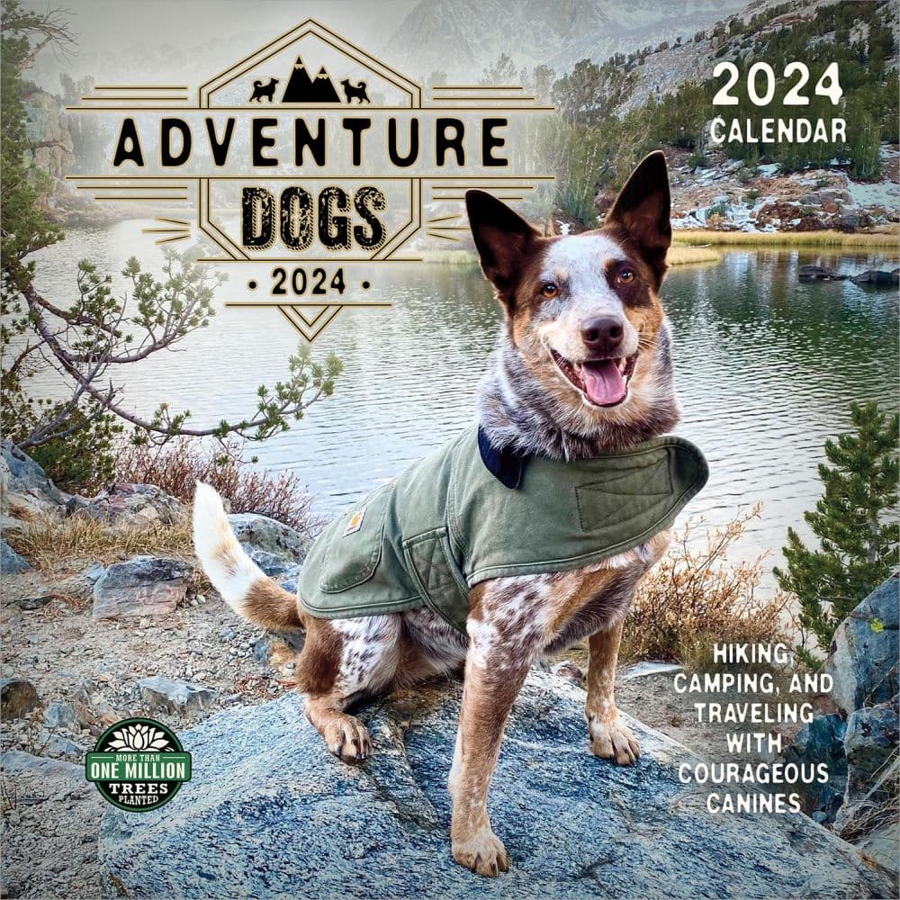 Dogs Adventure 2024 Wall Calendar