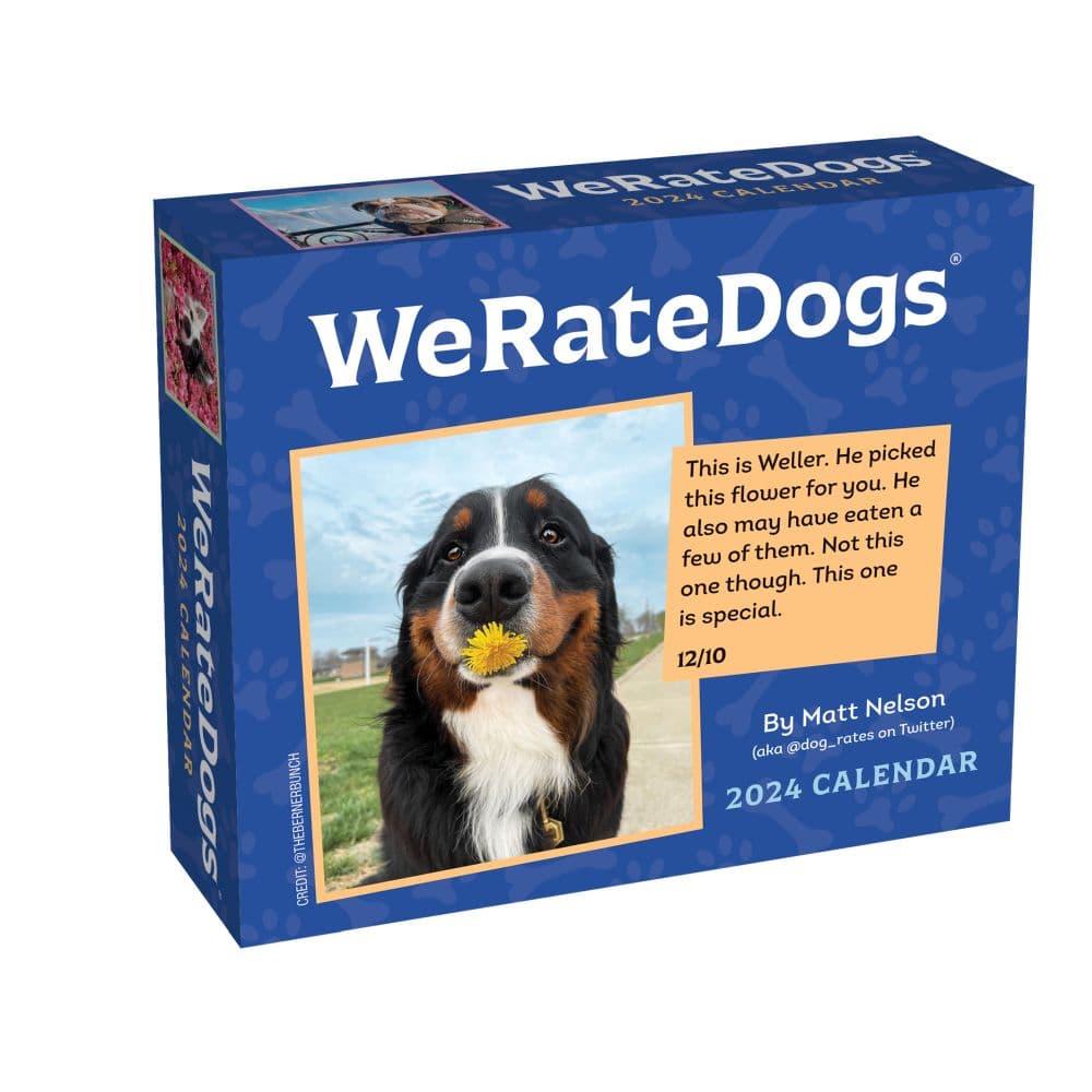 We Rate Dogs 2024 Desk Calendar
