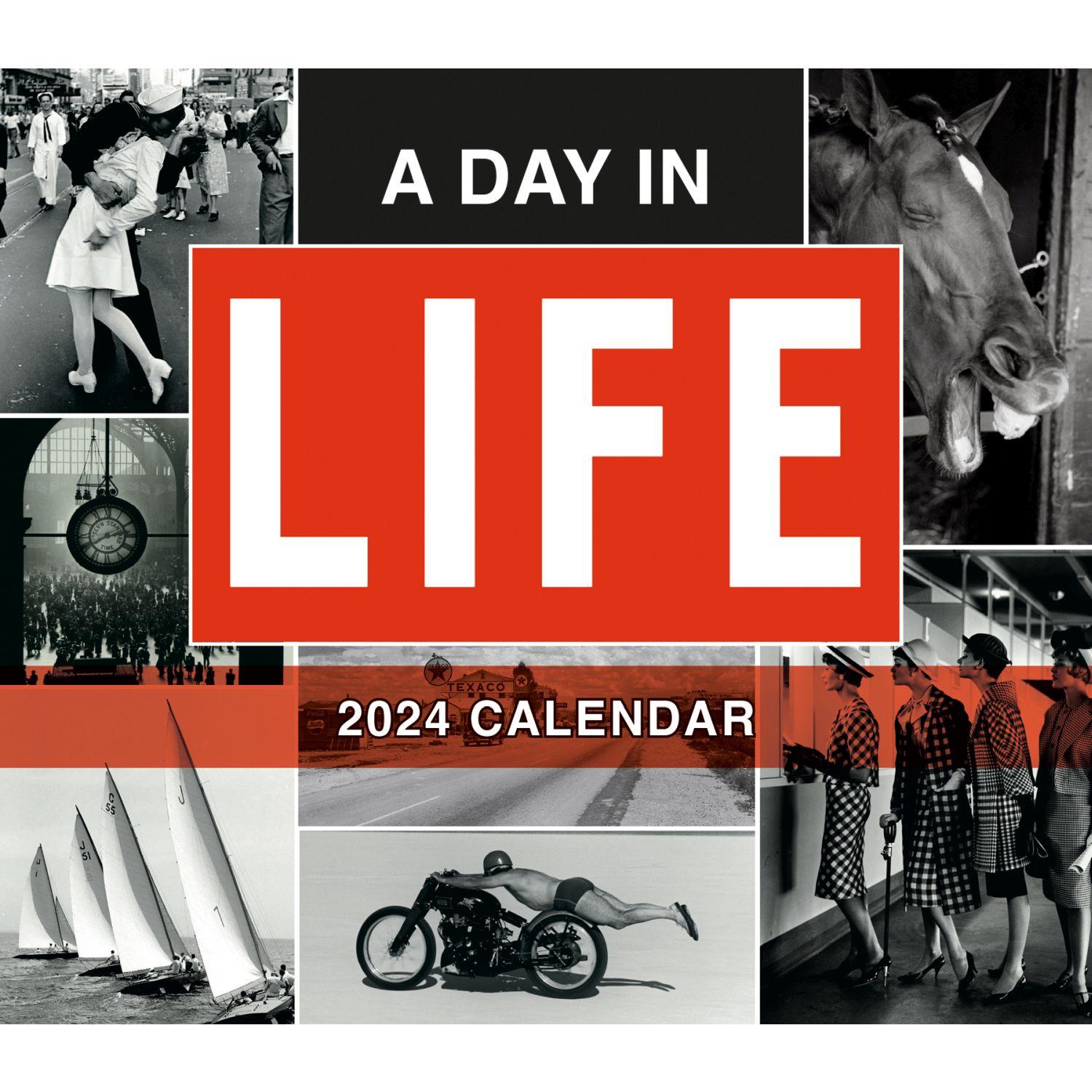 Day in a  Life  2024 Desk Calendar