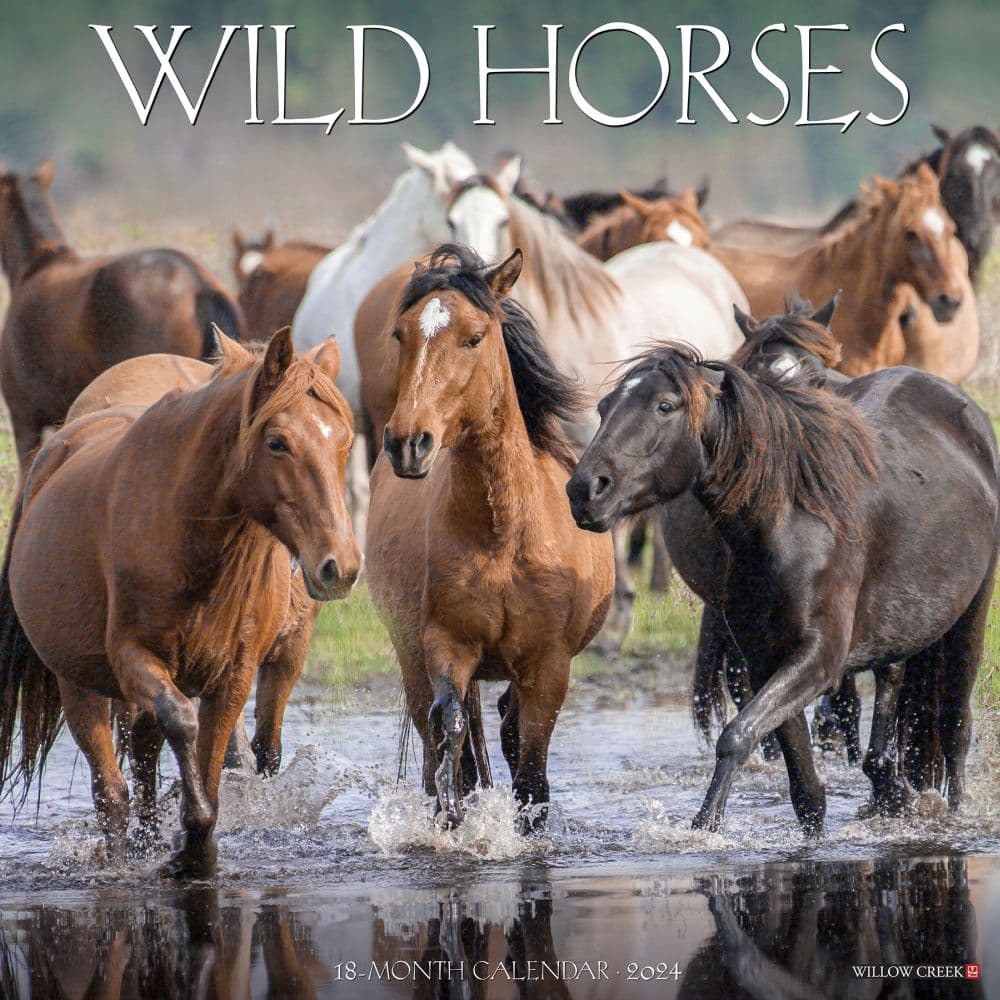 Wild Horses 2024 Wall Calendar