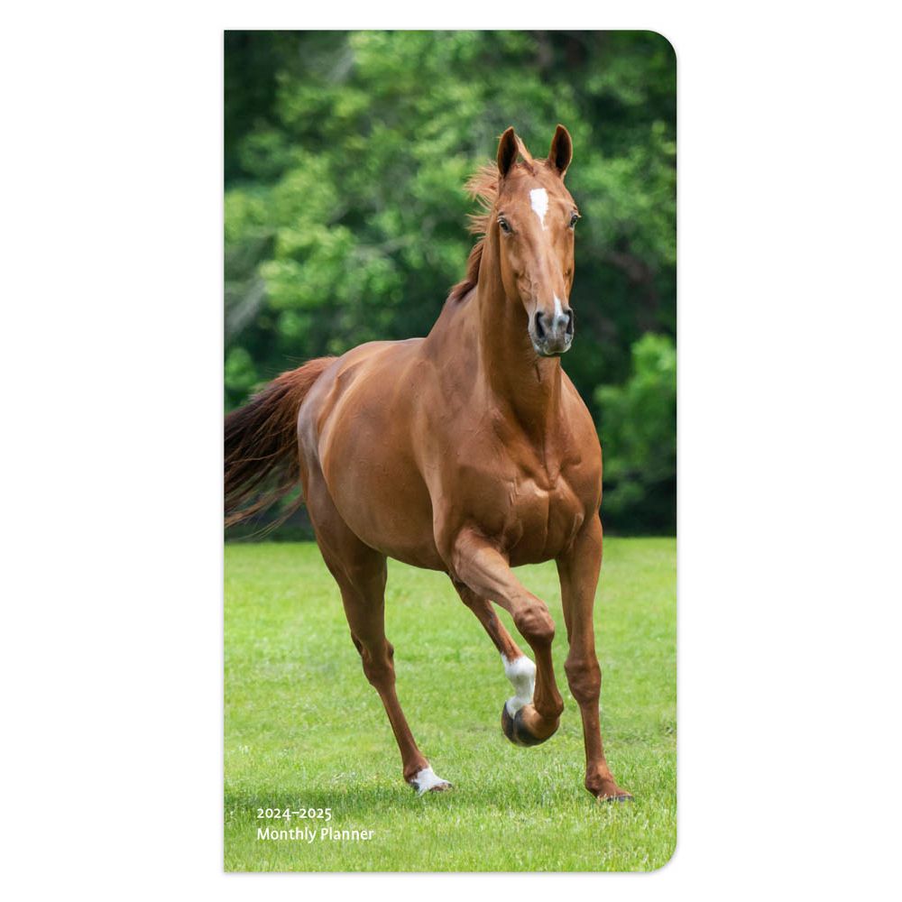 Horses Lovers 2 Year Pocket 2024 Planner