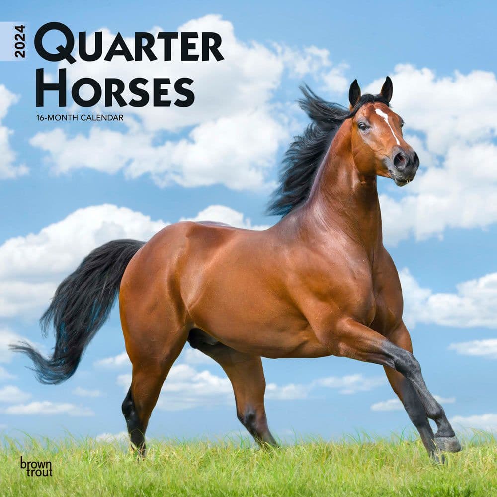 Horses Quarter 2024 Wall Calendar