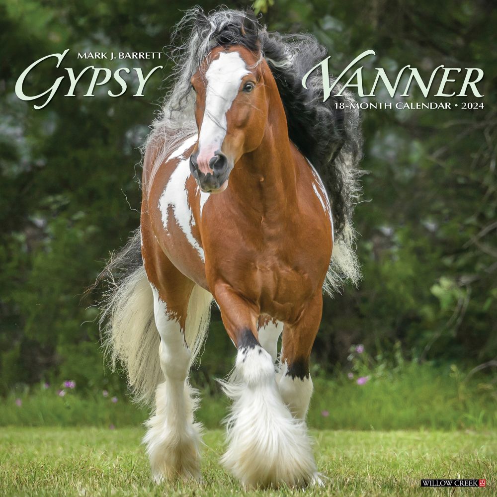 Gypsy Vanner Horses 2024 Wall Calendar