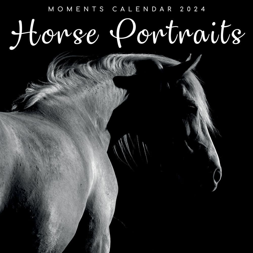 Horse Portraits 2024 Wall Calendar