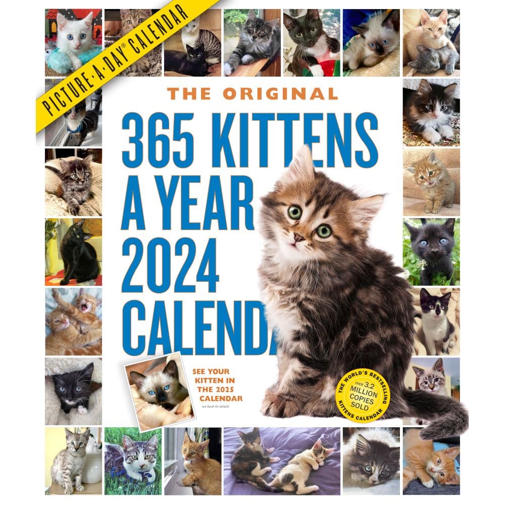 Kittens 365 Days 2024 Wall Calendar