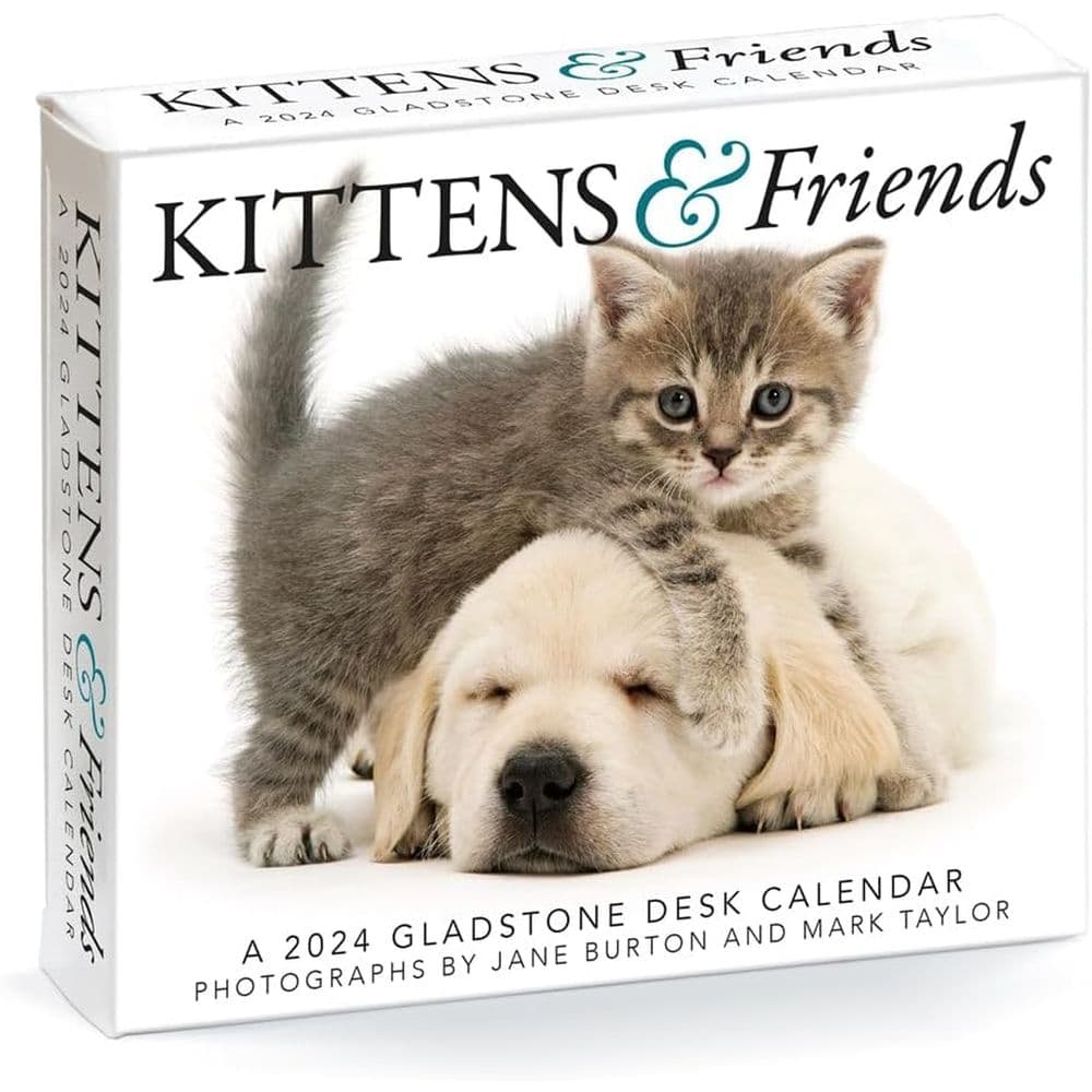 Kittens & Friends 2024 Desk Calendar