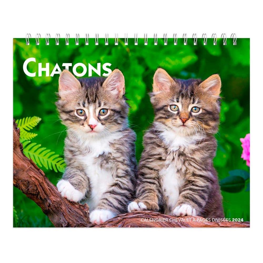 Double Chatons 2024 Easel Desk Calendar