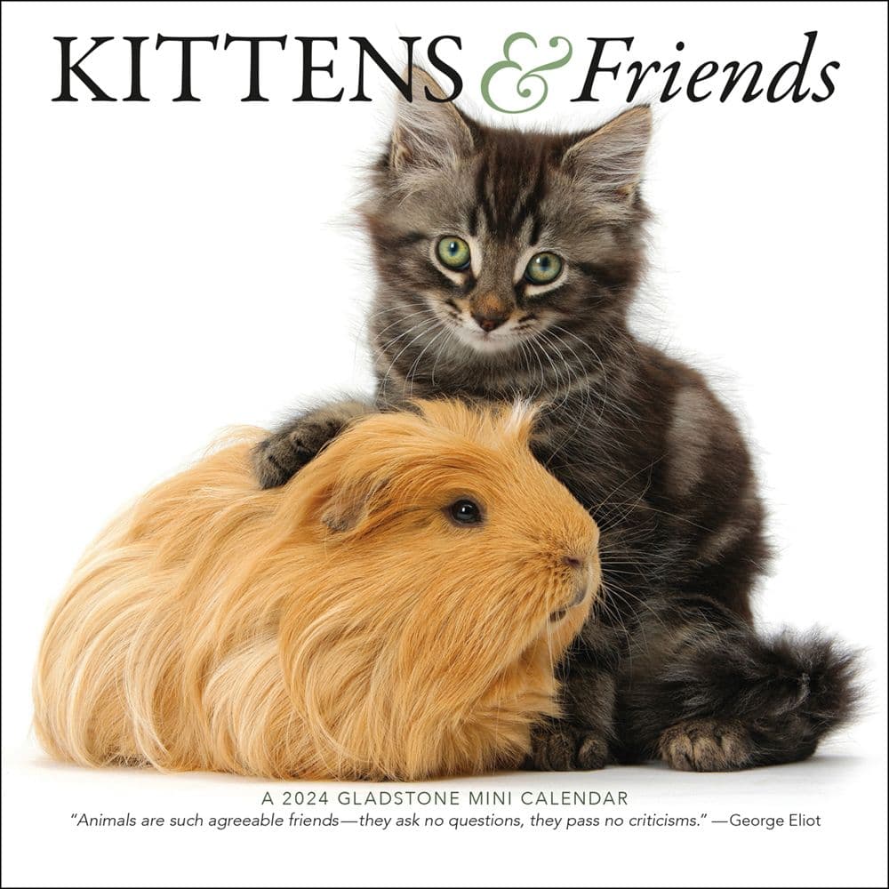 Kittens & Friends 2024 Mini Wall Calendar