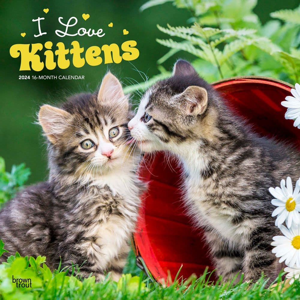 Kittens I Love 2024 Wall Calendar