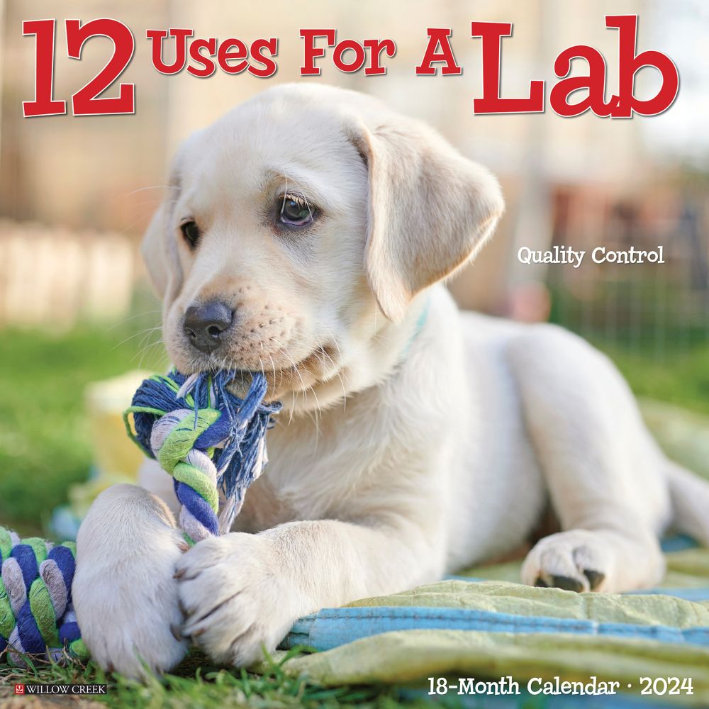 12 Uses For a Lab 2024 Wall Calendar