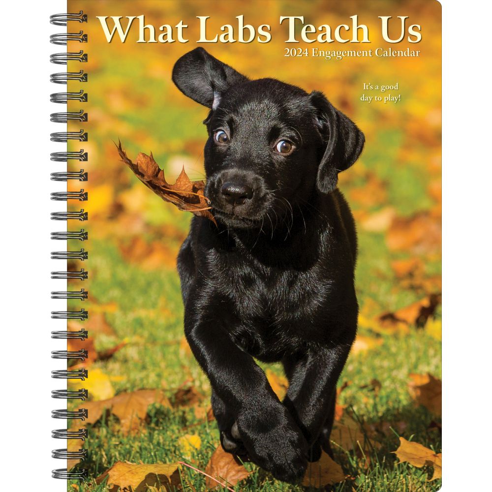 What Labs Teach Us 2024 Engagement Planner