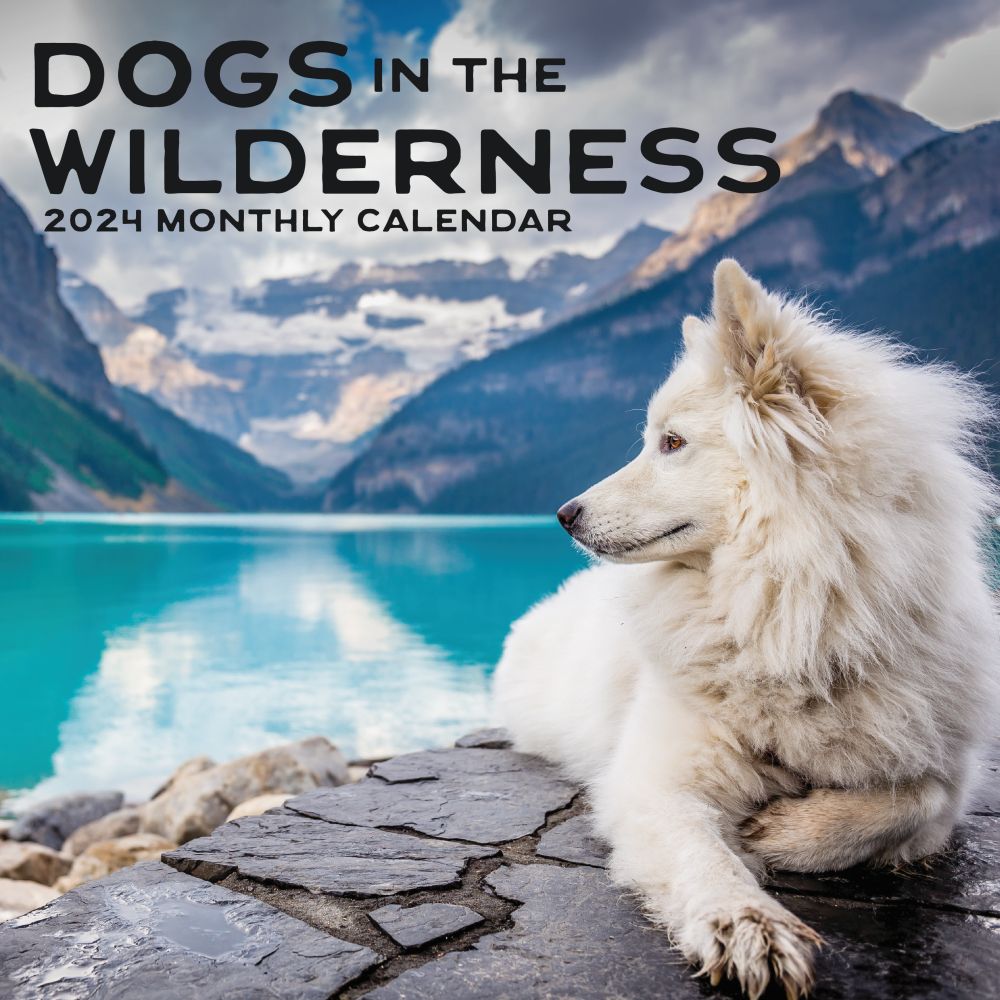 Dogs in the Wilderness 2024 Wall Calendar