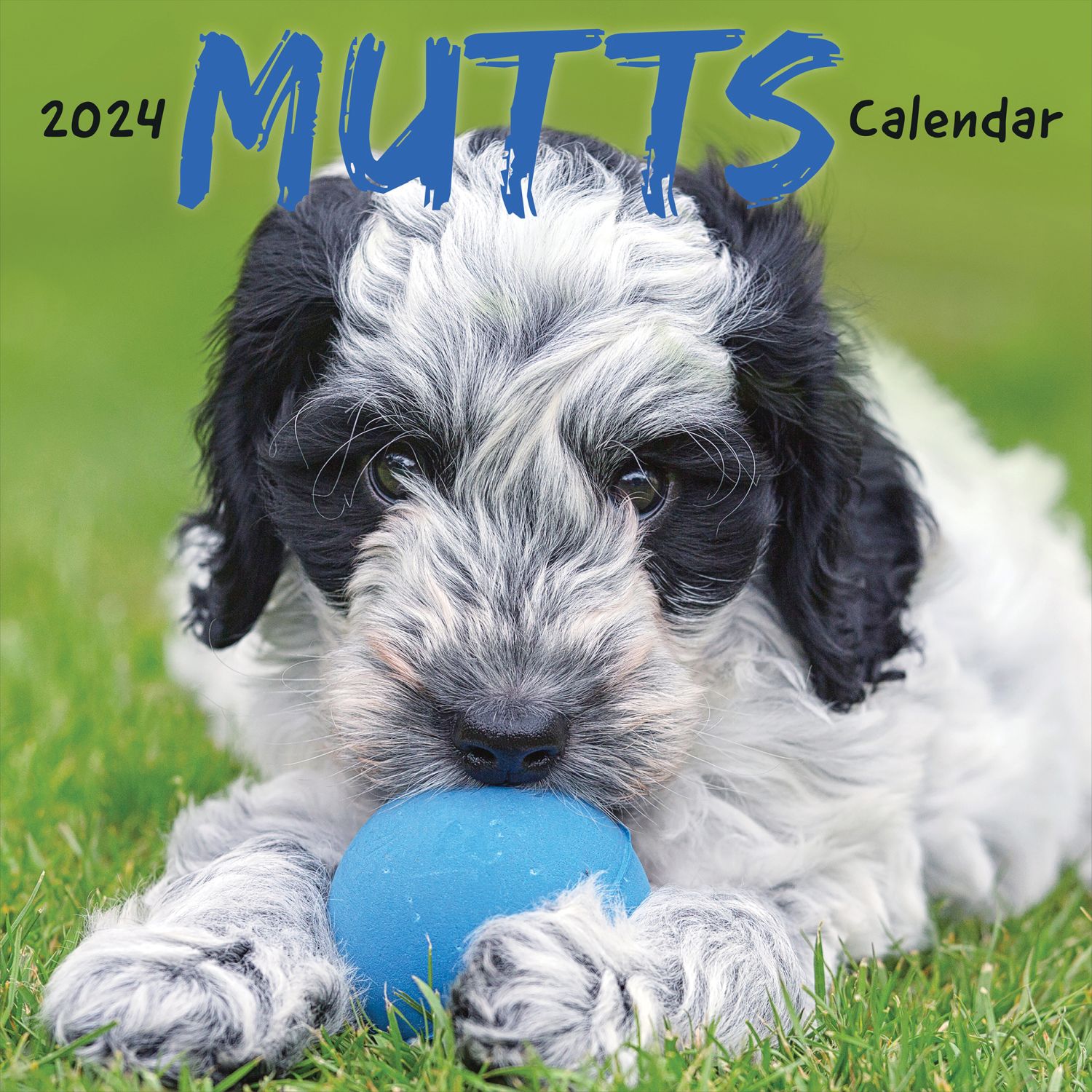 Mutts 2024 Wall Calendar