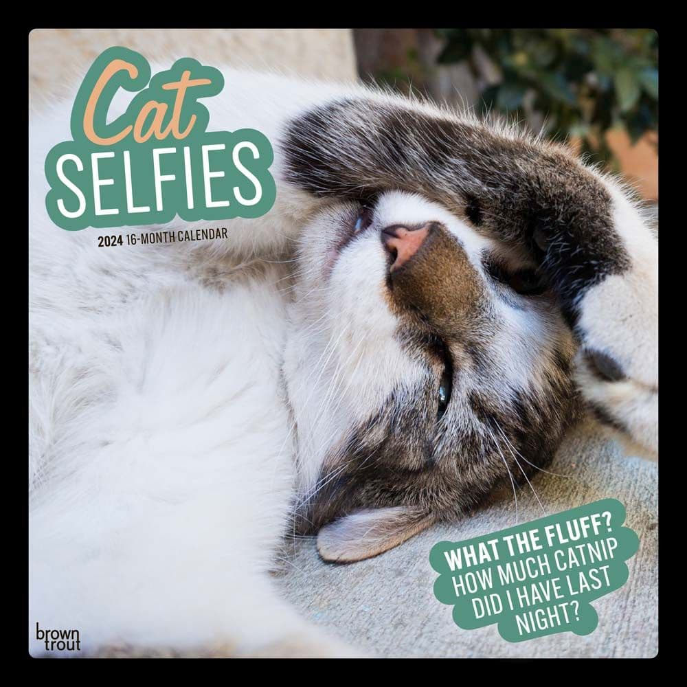 Cat Selfies 2024 Wall Calendar