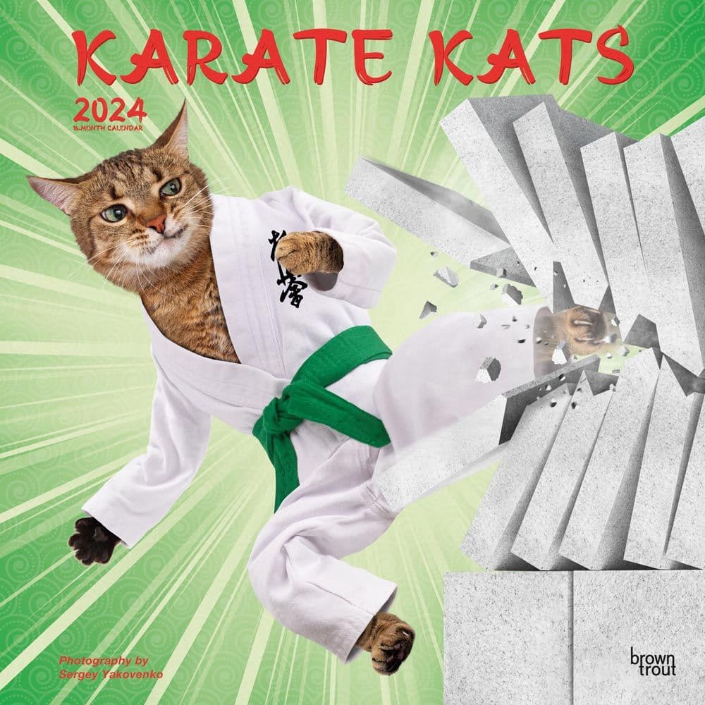 Karate Cats 2024 Wall Calendar