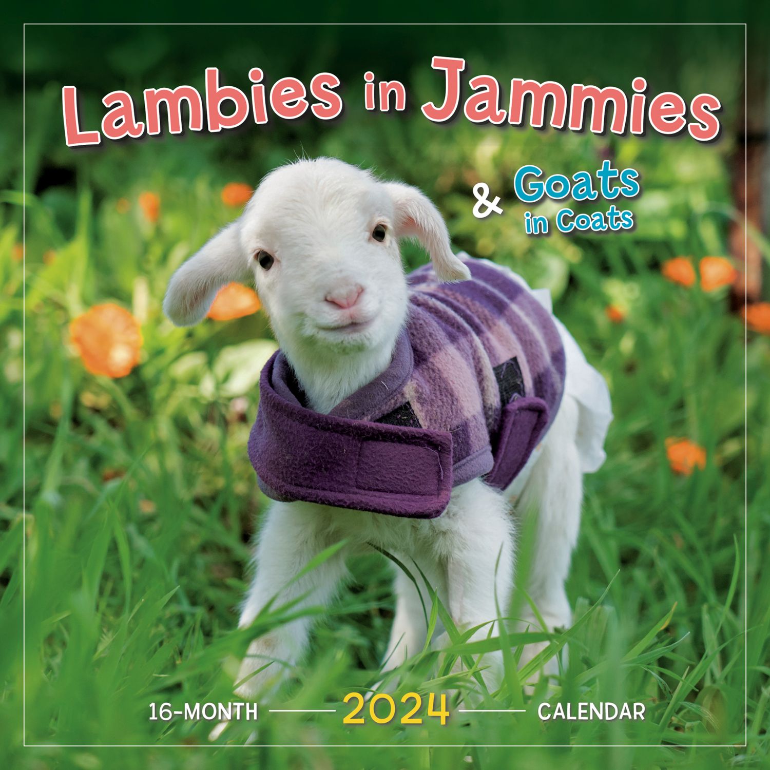 Lambies in Jammies 2024 Wall Calendar